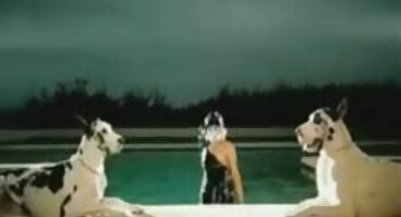 అసాధారణ చిక్ చూపిస్తుంది సెక్స్ వీడియో తెలుగులో పుస్సీ డాగీ శైలి లో ఒక తాజా లోపలి