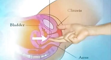 అమ్మాయిలు ఉంటే తెలుగు సెక్స్ వీడియో తెలుగు తెలుగు సెక్స్