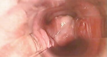 తెలుపు తోలు కోడిపిల్లలు ఒక నల్ల ప్రేమికుడు ద్వారా సెక్స్ తెలుగు ఆడియో వీడియో బొమ్మలు