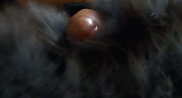 హైలైట్ తో వేశ్య ఒక ఆకలితో గై తెలుగు సెక్స్ కాల్ ఆనందపరిచింది