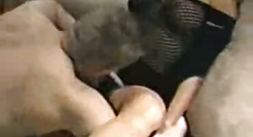 అందమైన నల్లటి జుట్టు గల స్త్రీని ఒక కంపన పరికరంలా ఆమె పూకు తెలుగు సెక్స్ సెక్స్ సెక్స్ మీద వాలు