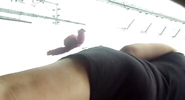 హహలి గ్యాంగ్-ఇబ్బంది పెట్టాడు కృష్ణ బొచ్చు సెక్స్ తెలుగు లో వీడియో రంధ్రం