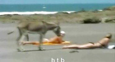 సంకలనం అందమైన తెలుగులో సెక్స్ వీడియో నగ్న అమ్మాయిలు