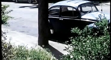 బట్టతల ఆనందం వ్యాప్తి నల్లటి జుట్టు గల సెక్స్ తెలుగు ఇంగ్లీష్ స్త్రీని సెక్స్ కోసం